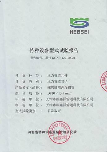 特种设备型式试验报告
